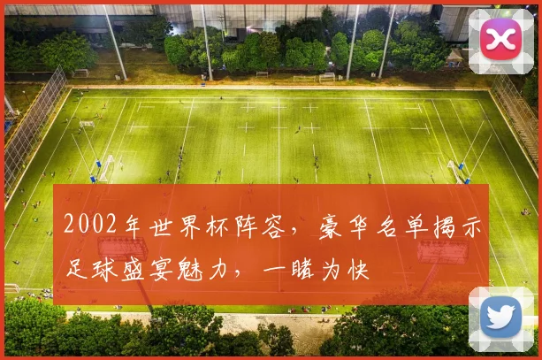 2002年世界杯阵容，豪华名单揭示足球盛宴魅力，一睹为快