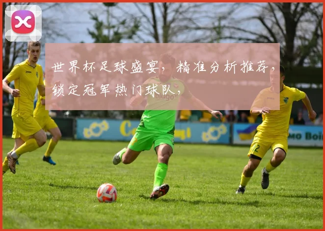 世界杯足球盛宴，精准分析推荐，锁定冠军热门球队，
