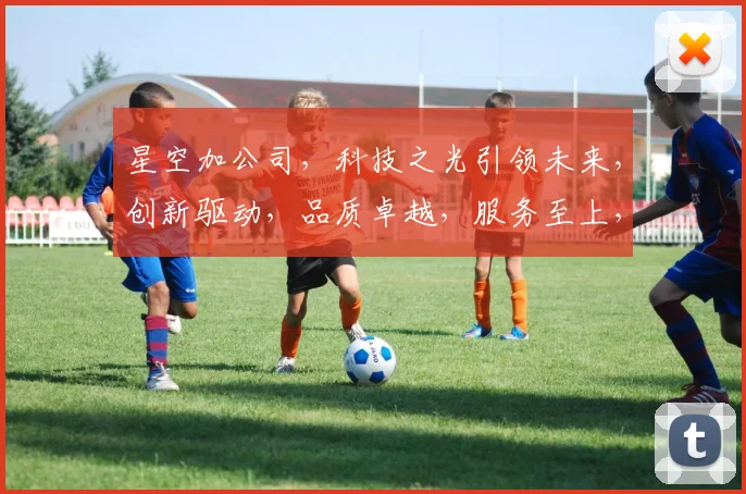 星空加公司，科技之光引领未来，创新驱动，品质卓越，服务至上，成就非凡。